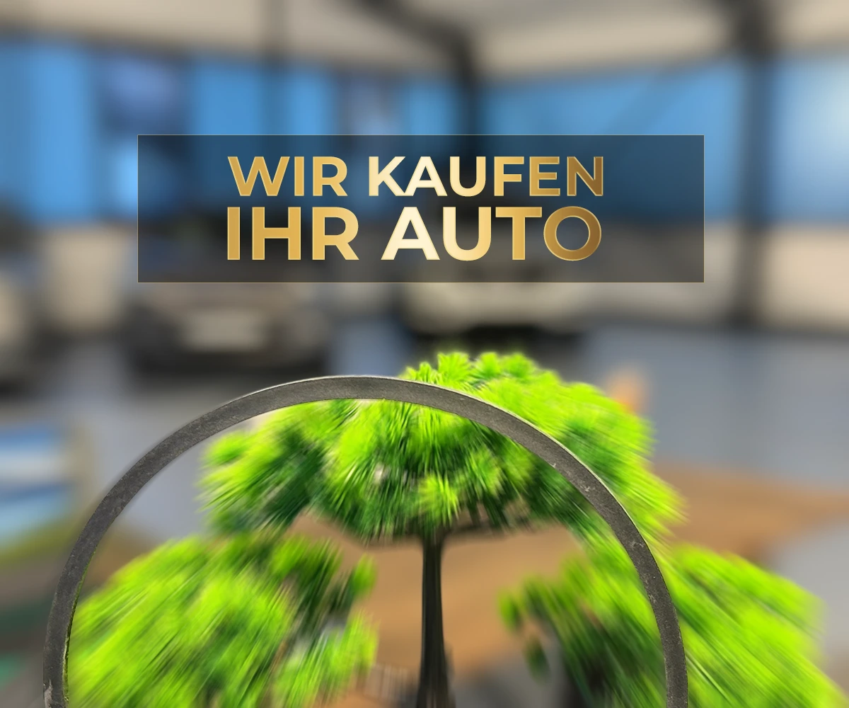 Direkter Fahrzeugankauf bei Goldstadt Autohaus Keltern